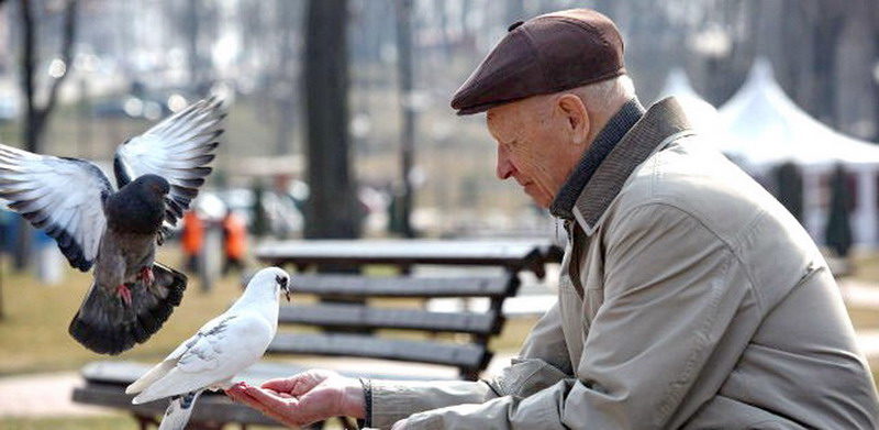 Дубровно, дубровенский, пенсии
