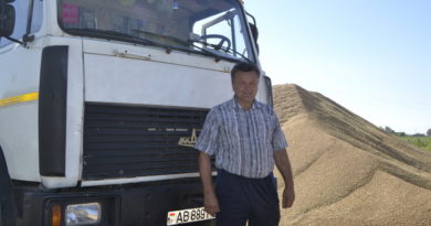 Дубровно, дубровенский, Батян, уборочная