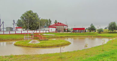 Дубровно, дубровенский, дожинки 2017, горгаз