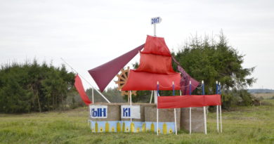 Дубровно, дубровенский, дожинки 2017, соломенные скульптуры