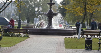 Дубровно, дубровенский, дожинки 2017, подготовка