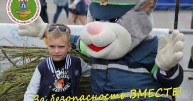 Дубровно, дубровенский, ГАИ, Дожинки