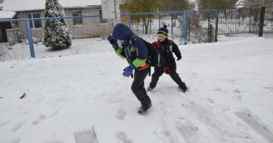 Дубровно, дубровенский, снег, осень