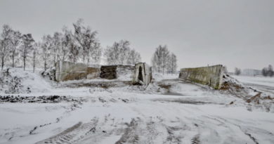 Дубровно, дубровенскій, корма
