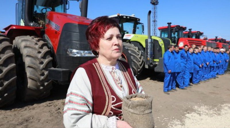 Витебск,дубровно, весна, посевная