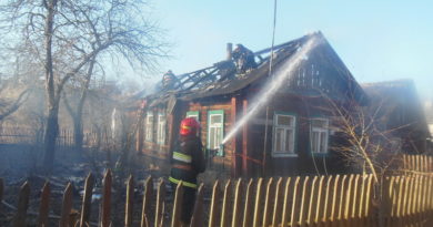 дубровно, пожар, поджог, арест