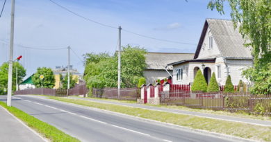 Дубровно, дубровенский, малая родина, улица, история