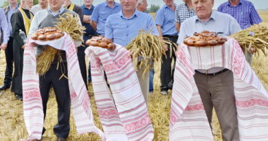 Дубровно, дубровенский, сельское хозяйство, уборочная