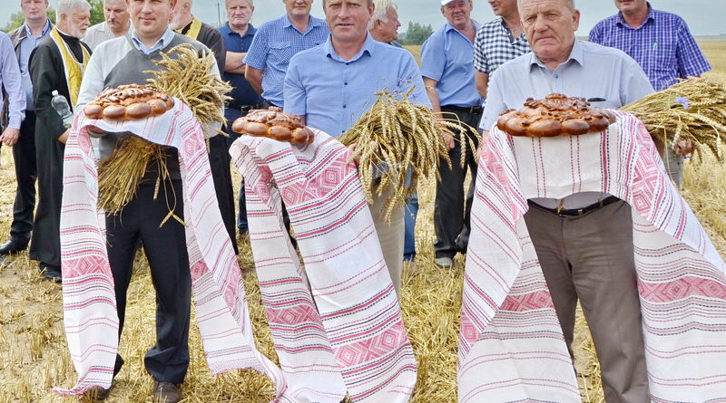 Дубровно, дубровенский, сельское хозяйство, уборочная