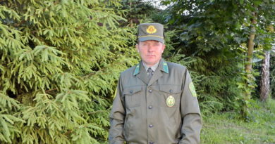 Дубровно, дубровенский, лесное хозяйство, экология, лесник