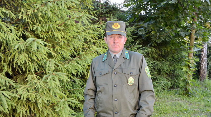 Дубровно, дубровенский, лесное хозяйство, экология, лесник