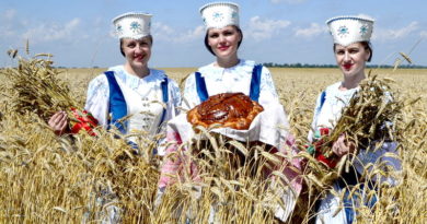 Дубровно, дубровенский, дожинки, верхнедвинск, программа мероприятий