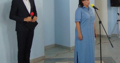 Дубровно, дубровенский, мануфактура, реконструкция