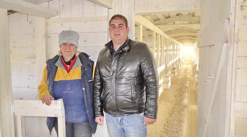 Дубровно, дубровенский, животноводство