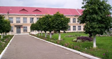 Дубровно, дубровенский, щкола, труд