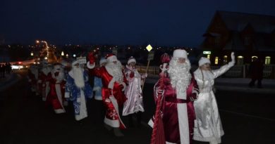 Дубровно, дубровенский, шествие дедов морозов