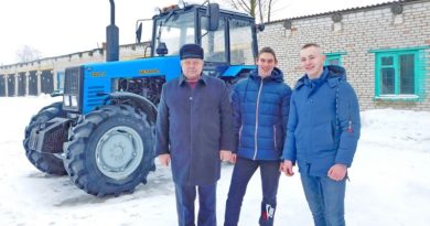 Дубровно, дубровенский, лицей