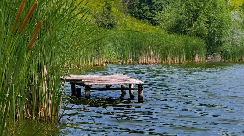Дубровно, рыбаки, щука,запрет