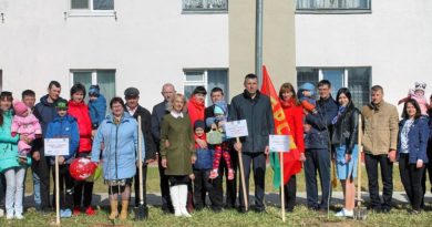 Дубровно, дубровенский, аллея, семья