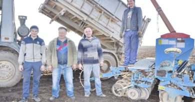 Дубровно, дубровенский, посевная
