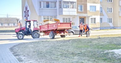 Дубровно, дубровенский, субботник