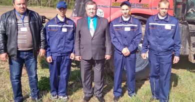 Дубровно, дубровенский, лицей