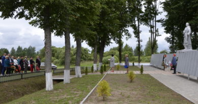 Дубровно,день Независимости, Петрики, память