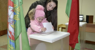 Дубровно, выборы, участки