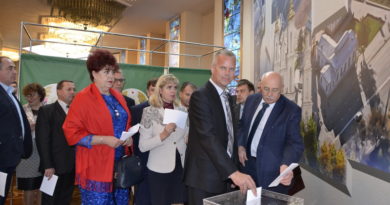 Дубровно,Витебск,выборы, сенаторы