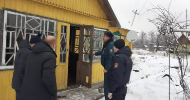 Дубровно, рейд,МЧС,осинторф, пожар