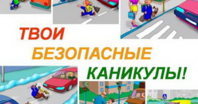 Дубровно ГАИ каникулы безопасность