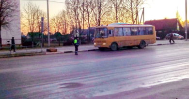 Дубровно,ГАИ,дети, безопасность