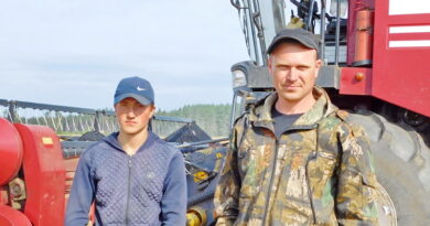 Дубровно,жатва семейные экипажи