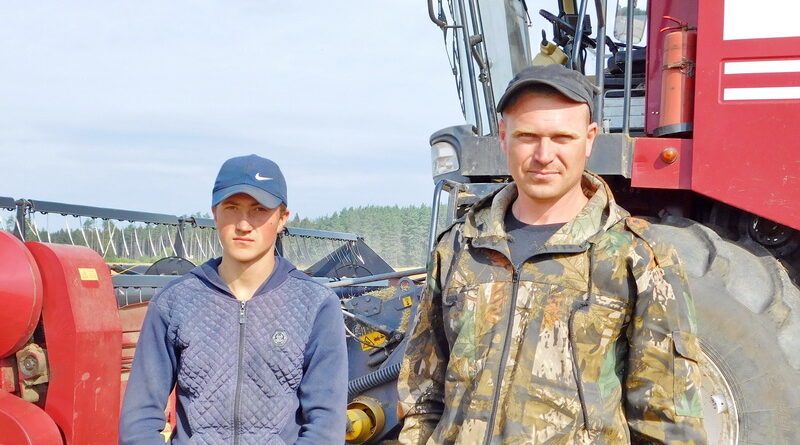 Дубровно,жатва семейные экипажи