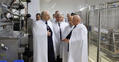Орша, дубровно, производство