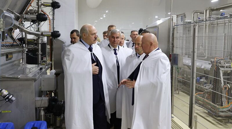 Орша, дубровно, производство