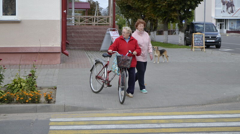 дубровно гаи безопасность