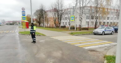 Дубровно,ГАИ, акция,пешеход