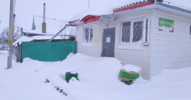 Дубровно, метель, безопасность