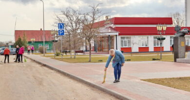 Дубровно, субботник, благоустройство