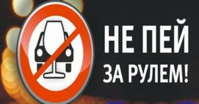 Дубровно, акция гаи