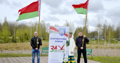 Дубровно, герб, флаг, символика