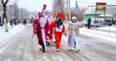 Дубровно,новый год