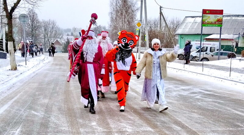 Дубровно,новый год