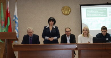Дубровно,конституция