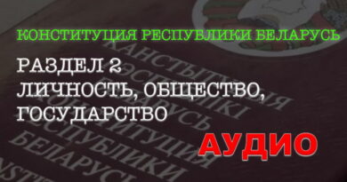 референдум,аудиокнига