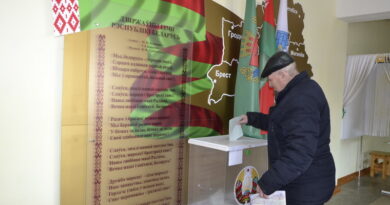 Дубровно,референдум