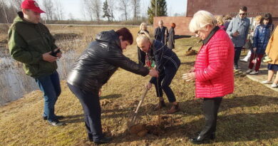 Дубровно,дерево героя