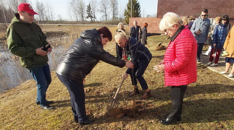 Дубровно,дерево героя
