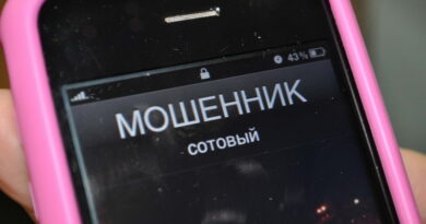 Дубровно, закон, право, мошенники